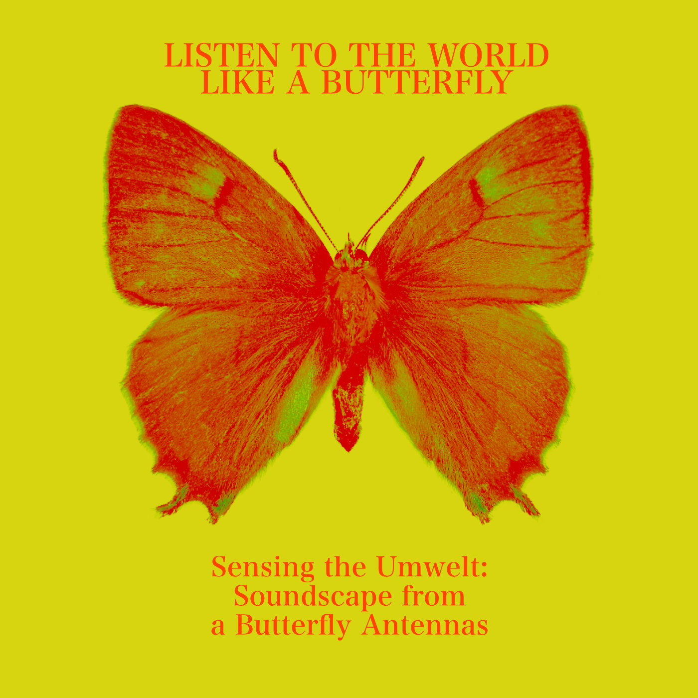 Visualisation of the project Listen to the World like a Butterfly