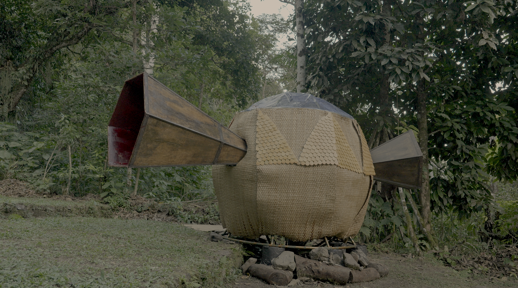 Visualización del proyecto Escuchadores